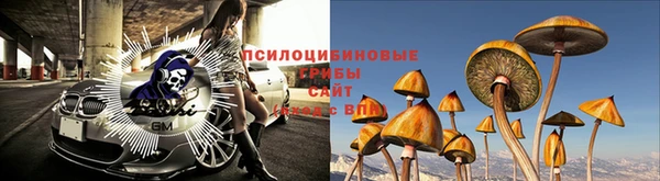 марки nbome Новодвинск