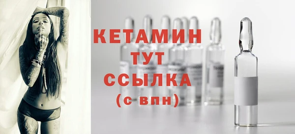 соль ск Новозыбков