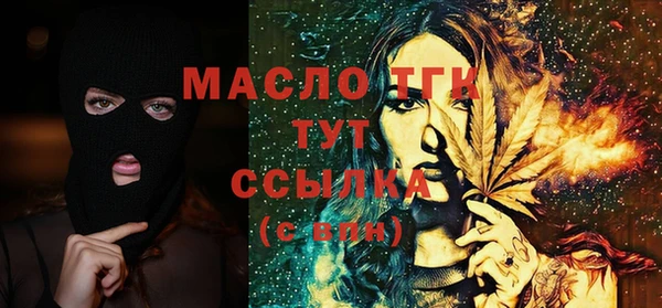 соль ск Новозыбков