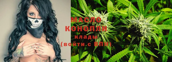 соль ск Новозыбков