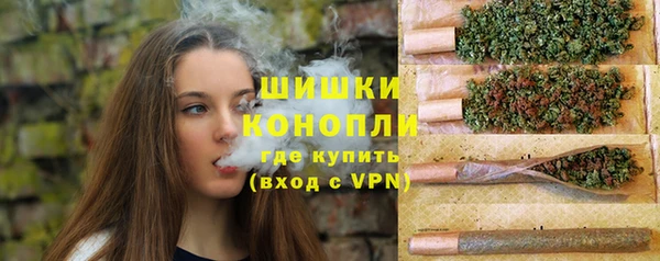 соль ск Новозыбков