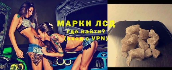 соль ск Новозыбков