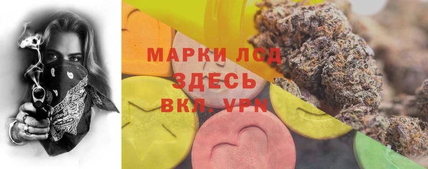 соль ск Новозыбков