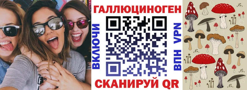 сколько стоит  Электроугли  Галлюциногенные грибы Psilocybe 