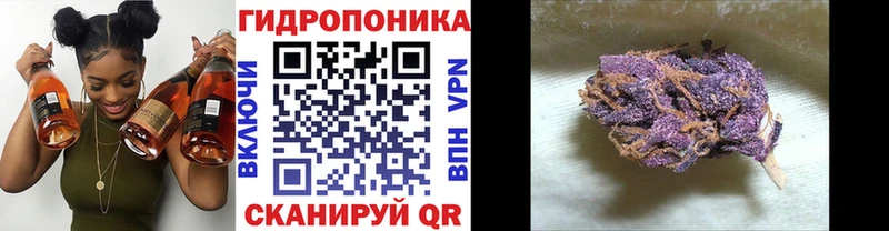 Марихуана AK-47  купить наркотики цена  Электроугли 